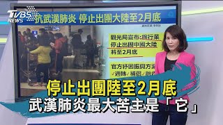 【TVBS新聞精華】20200131  停止出團陸至2月底 武漢肺炎最大苦主是「它」