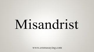 How To Say Misandrist