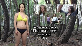 "Пьяный лес", берег реки Ока
