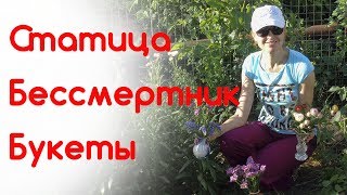 Сухоцветы. Лимониум, статица, бессмертник. Составляем букеты