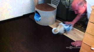 Self-packing cats / Самоупаковывающиеся коты