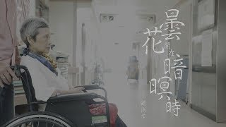 鏡人物【一鏡到底】曇花開在暗暝時 顧德莎