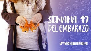 Semana 19 de embarazo / 9 meses dentro de mí