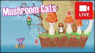 [Archiwum] Live - MUSHROOM CATS! (1) - [1/1] - "Czapeczka dla kotka"