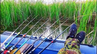 ЗАКИНУЛ СЕМЬ УДОЧЕК НА РЫБАЛКЕ! ЭКСПЕРИМЕНТ!
