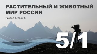 5/1 Растительный и животный мир России