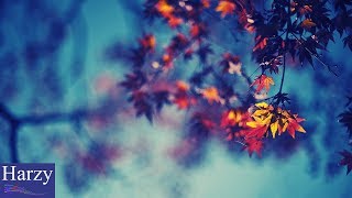 Ikson - As Leaves Fall [1 Hour Version]