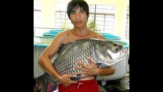 Nông Dân Miền Tây Nuôi Cá Hô, Nuôi Cua Kiếm Tiền Triệu Mỗi Ngày | Khám Phá Cuộc Sống