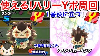 【ぷにぷに攻略】使える！ハリー Yポイント周回！イベントで1番役に立つ！ 初級・中級者必須！妖怪ウォッチ4++ 争奪戦【妖怪ウォッチぷにぷに】Yo-KaiWatch 妖怪ウォッチシャドウサイド 妖魔界