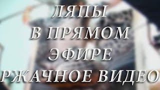 Смешное видео в эфире. Ляпы в прямом эфире. Pжачное видео