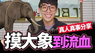 第一次摸大象就流血?【酷炫老師-幹話教室#20】│WACKYBOYS│反骨│