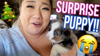 SURPRISING MY BFF WITH A PUPPY!! Vlogmas Day 18