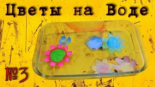 Раскрывающиеся Цветы на Воде из Бумаги #3