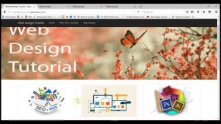 How to use CellSpacing, CellPadding, ColSpan, RowSpan Topic 8