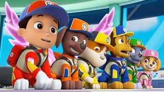 EM PORTUGUÊS - PATRULHA CANINA Os Super filhotes salvam a SKY
