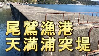 尾鷲漁港　三重県海釣り人気ポイント　魚釣り
