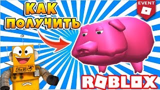 ИВЕНТ SUMMER РОБЛОКС КАК ПОЛУЧИТЬ СВИНКУ GURT! SUMMER TOURNAMENT EVENT