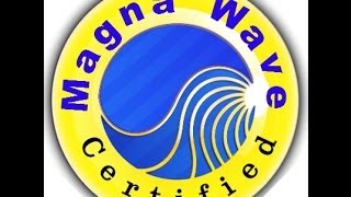 How To Be as Healthy as a Horse with Magna Wave