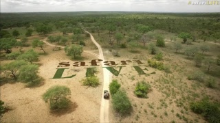 safariLIVE - Sunset Safari - Nov. 04, 2017