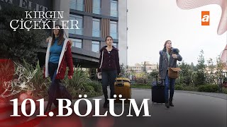 Kırgın Çiçekler 101. Bölüm