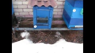 Рогатый улей. Зимовка на сетчатом дне в "рогатом" улье