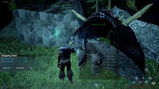 Dark and Light: Building and Rambling on the Scandy Private Server