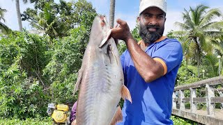 വേമ്പനാട് കായലിലെ മീൻപിടുത്തം  Part 2 ( vembanad lake fishing )