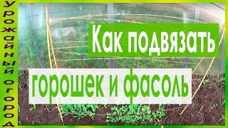 ВАРИАНТ ПОДПОРКИ ДЛЯ ГОРОШКА И ФАСОЛИ!!!