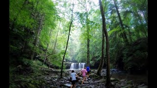 Hike to SYCAMORE FALLS (July 2019)