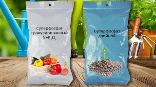 Вытяжка из простого суперфосфата. Раствор суперфосфата. Внекорневая подкормка  суперфосфатом.