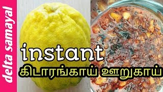 Instant கிடாரங்காய் ஊறுகாய் | Kadarangai pickle | Wild Lemon Pickle | Tamil | Delta Samayal