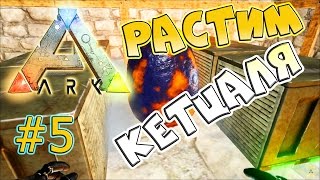 ARK survival evolved АРК #5 Как вырастить кетцаля