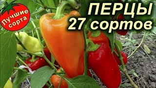 Купить Семена Перца Сладкого (Лучшие сорта сладкого перца)