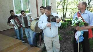 Роми на закарпатському весіллі