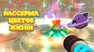 ? ЦВЕТОК ЖИЗНИ Ферма слаймов Slime Rancher