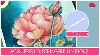 Corso di Acquerello BASE: come dipingere un FIORE LEZIONE 10 (La corolla)