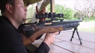 Daystate Pulsar Bullpup PCP Air Rifle In Action