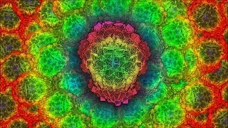 ☯ Ezber Yaparken ve Ders Çalışırken Dinlenecek Müzik Relax Music ☯