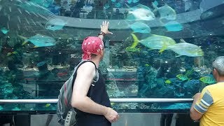 Аквариум в ТРЦ "Ocean Plaza" г.Киев