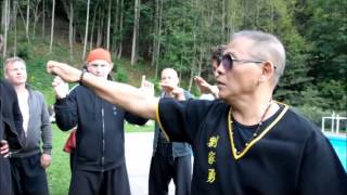 Kung Fu Seminar with Sifu Lau Kar Yung - Molveno 2014