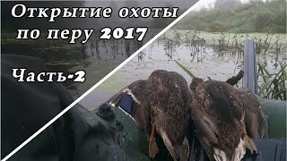 Охота на уток. Открытие 2017 г. Часть-2. "Моя ОХОТА"