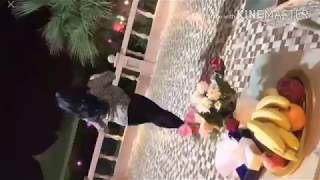 رقص بدويه