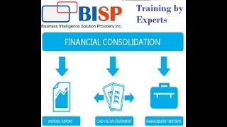 Liquidating dividend | HFM Foundation | Financial Consolidation | Oracle EPM