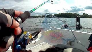 настройка эхолота GARMIN STRIKER 7 SV, поиск судака, ловля окуня на джиг риг
