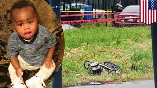 殺人犯が乗る逃走中の車　ベビーカーに衝突