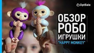 Обзор робо игрушки "Happy Monkey". Товары из Китая оптом. Компания OptSale.biz