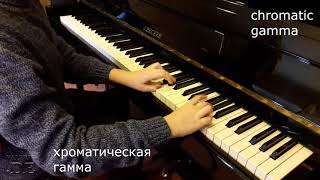 Гамма ми мажор | Gamma E-dur | ДМШ 41