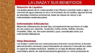 LINAZA CON NOPAL