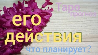 Таро прогноз ЕГО ДЕЙСТВИЯ ЧТО ОН ХОЧЕТ ЧТО ПРЕДПРИМЕТ Онлайн гадание на картах Таро asmr видео Hygge