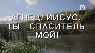 Ты для меня всё во всём | Караоке
